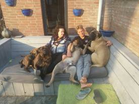 17632036_1882414118708824_4710349785627797818_o