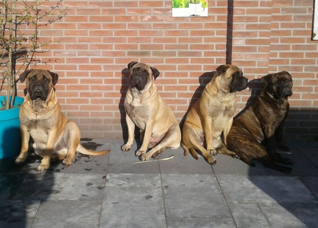 17835184_1889398568010379_4161652577119705328_o